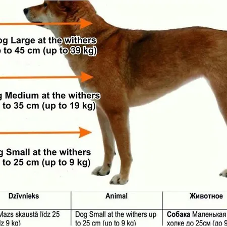 Apartmán Chic & In Avoti District